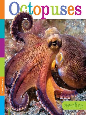 cover image of Octopuses